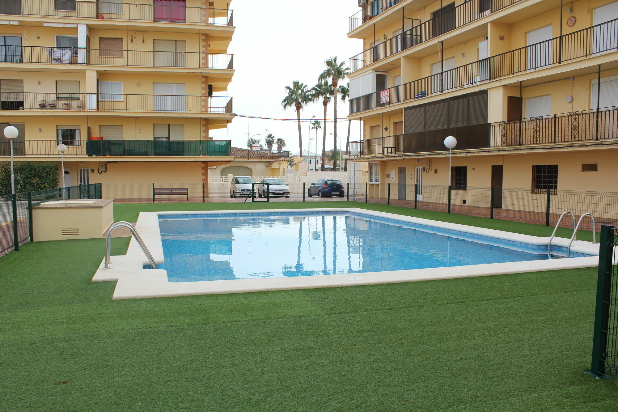 Trompeta Azul Dénia