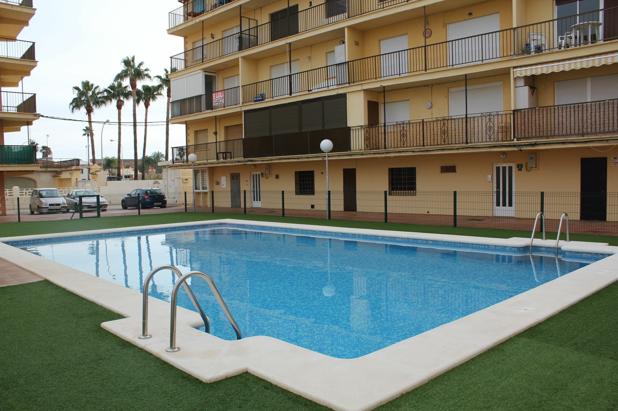 Trompeta Azul Dénia