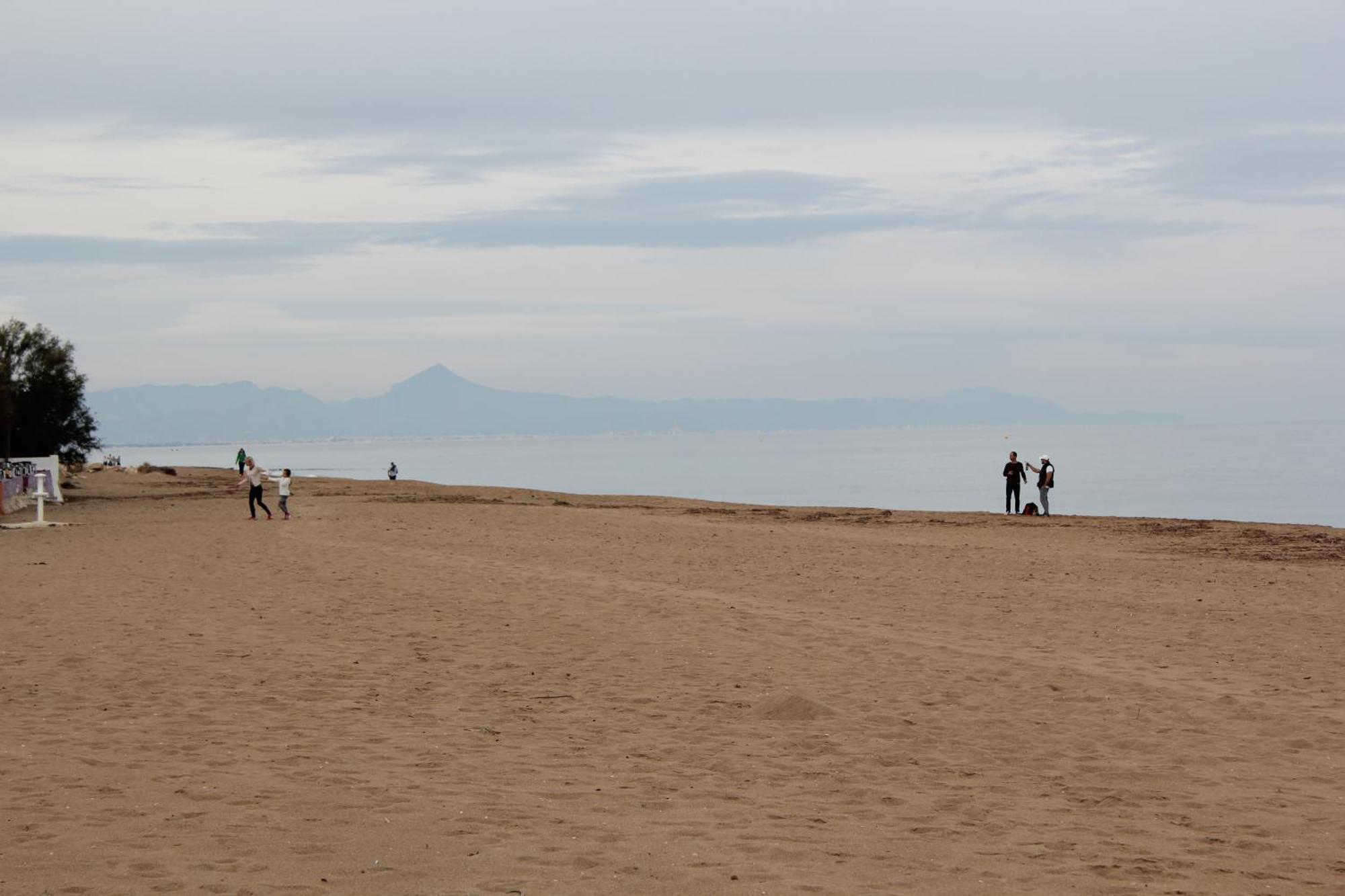 Trompeta Azul Denia